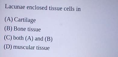 Solved Lacunae enclosed tissue cells in(A) ﻿Cartilage(B) | Chegg.com