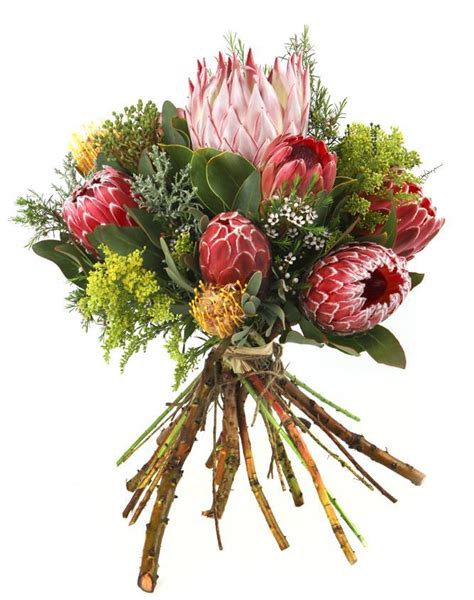 Protea Bouquet | Flower Boutique Jeffreys Bay