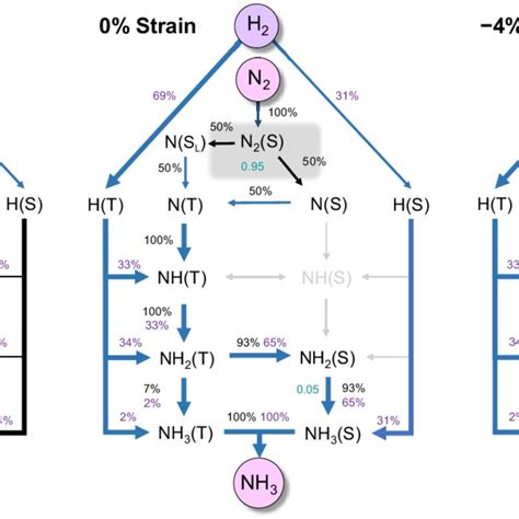 Reaction paths of catalytic ammonia synthesis. (A) +4%, (B) 0%, and (C)... | Download Scientific ...