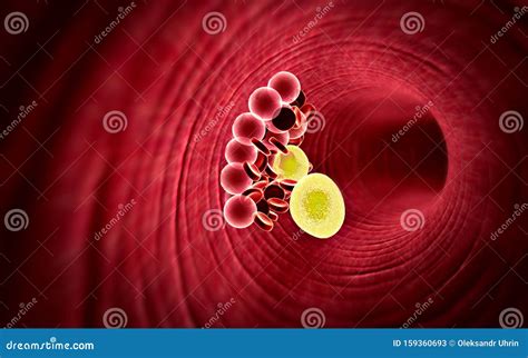 Cellula Grassa Nel Sangue Illustrazione Di Stock Illustrazione Di