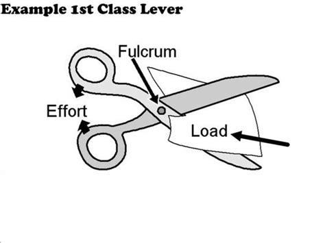 Scissors are a class 1 lever | Simple machines, Engineering challenge ...