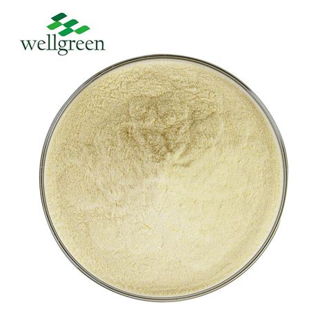 Wellgreen Bulk Food Grade Pure Natural Cosmetic Grade Soy Bean Powder