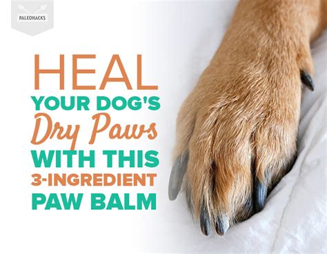 Heal Your Dog's Dry Paws with This 3-Ingredient Paw Balm (Natural, Easy)