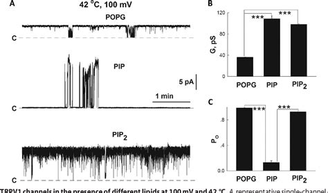 Figure 3 From Regulation Of The Temperature Dependent Activation Of