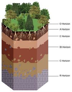 1000+ images about Soil Horizons on Pinterest | Organic matter, Earth ...