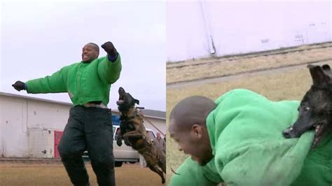 Remember When Jon Jones Got Chased Down By Police Attack Dogs?