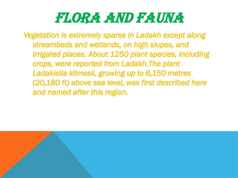 Fauna Of Ladakh 3