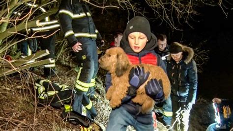 Feuerwehr Rettet Dackel Mischling Sissi Aus Einem Nutria Bau NDR De