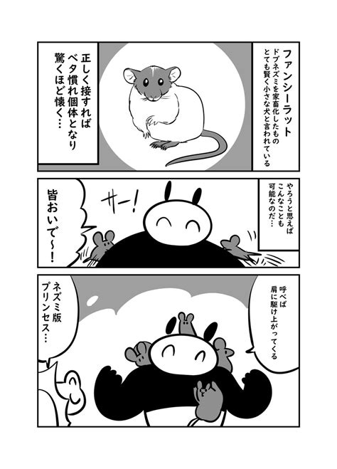 「ドブネズミは驚くほど懐くって知ってた 14 」ぬら次郎お仕事募集の漫画