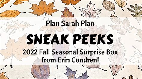 Sneak Peeks From The Fall Seasonal Surprise Box From Erin Condren