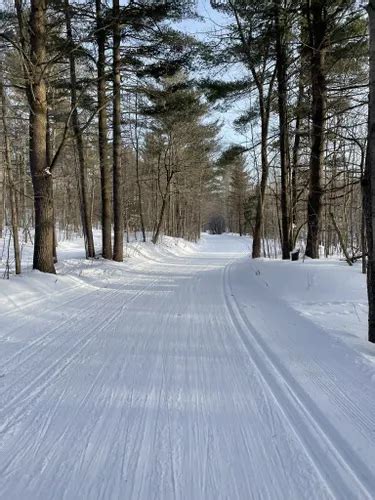 Best Road Biking Trails in Oro-Medonte | AllTrails