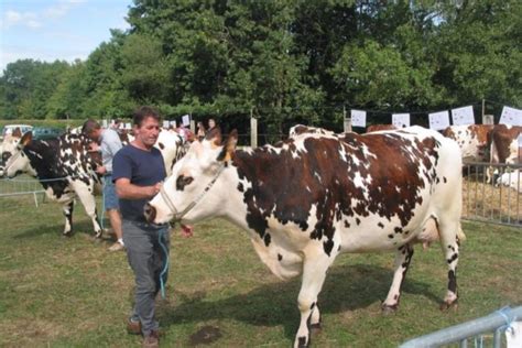 Rendez Vous R Senlieu Pour Le Comice Agricole Du Pays De Gac