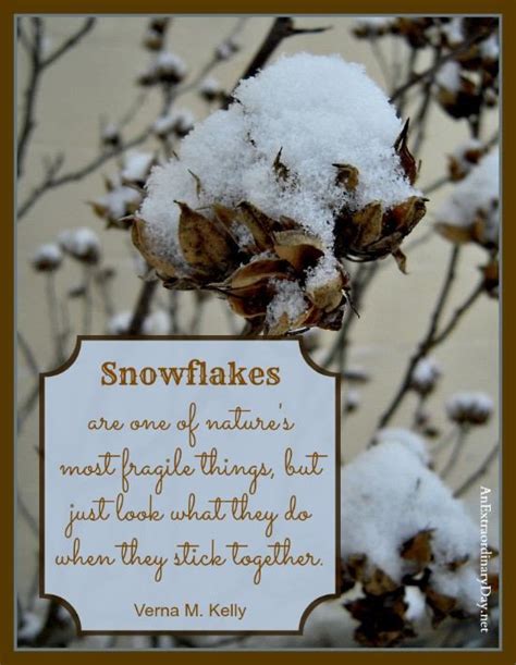 Snowflake Quotes. QuotesGram