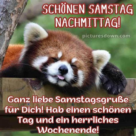 Samstag Nachmittag Gr E Bild Kleiner Panda