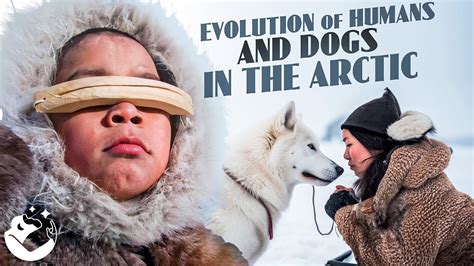 The Fascinating Role of Dogs in Inuit Culture: A Deep Dive into Their ...