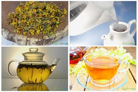 13 полезных свойств ? чая из зверобоя для здоровья человека