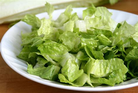 Truque infalível faz a alface durar 1 mês na geladeira: você não vai