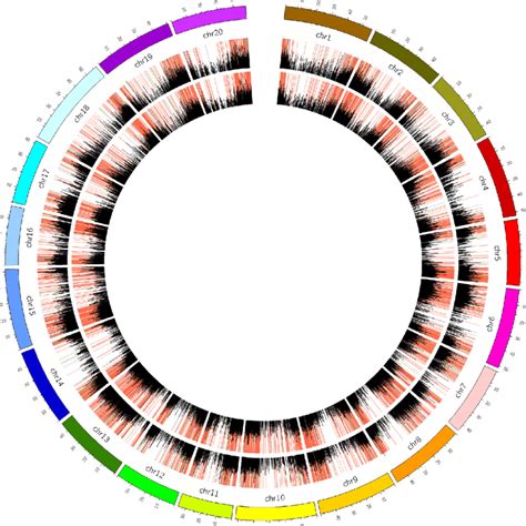 A Circos Plot Showing Differentially Expressed Genes And Non Synonymous