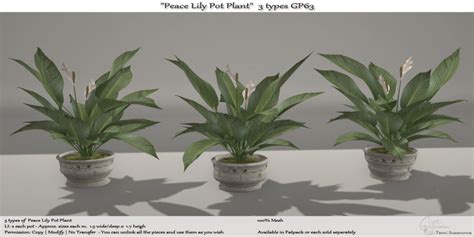 Tm Creation Peace Lily Pot Plant Love To Decorate