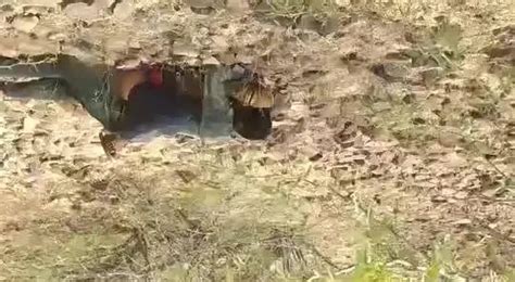 Desi College Couple Enjoying Their First Sex In The College Outdoor Garden Rarely Find Video