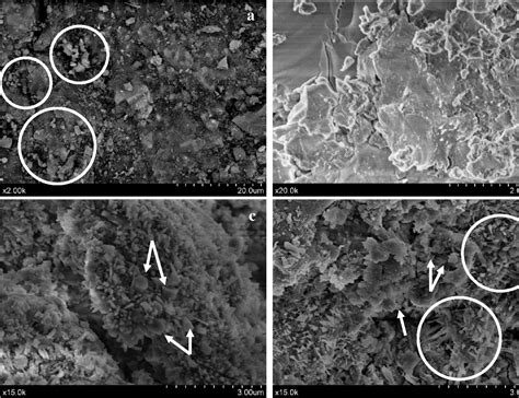 Figure From Solidification Stabilization Of Toxic Metals In Calcium