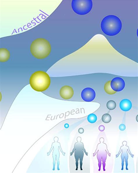 Lingering effects of Neanderthal DNA found in modern humans