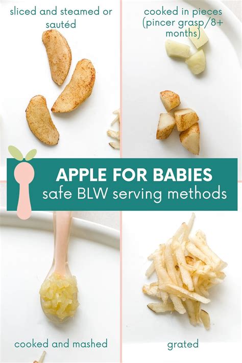Baby Led Weaning Apples - Safe Serving Tips in 2025 | Baby led weaning
