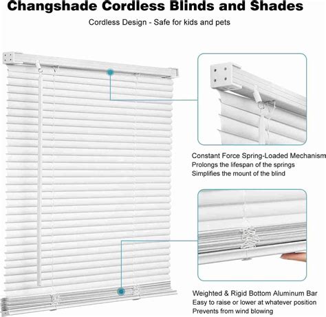 Changshade Cordless 1” Vinyl Blind Review - Smart Shades