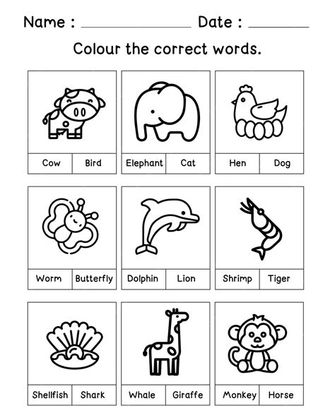 Premium Vector Color The Worksheet And Choose The Correct Answer