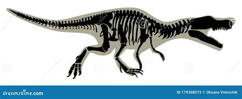 Tyrannosaurus Rex Skeleton Silhouette Vector Side View