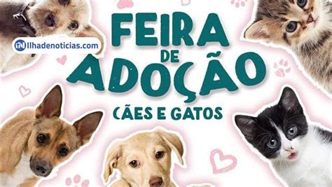 Neste S Bado Toca Dos Gatos Apaisa E Patas Solid Rias Far O Feira De