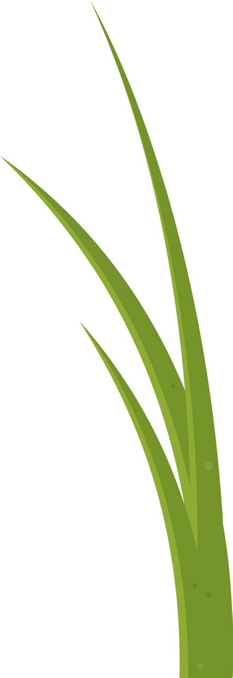 Cartoon Grass Leaves Clip Art 21612213 Png