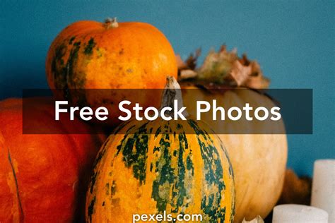 Welcome Pumpkins Photos, Download The BEST Free Welcome Pumpkins Stock Photos & HD Images