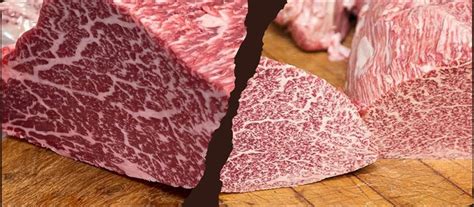 Key Differences Of Texas Wagyu Vs Japanese Wagyu Red Field Ranch