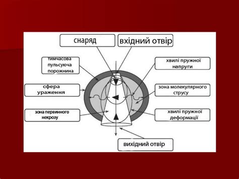 Презентация на тему: ВОГНЕПАЛЬНІ