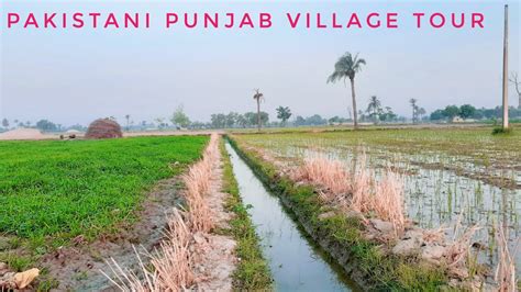 Beautiful Punjab Village Tour Natural Beauty Of Pakistan Rural