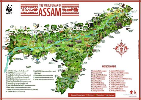 緑のユーモア アッサム州の生物多様性マップ、アッサム マップ 高画質の壁紙 Pxfuel