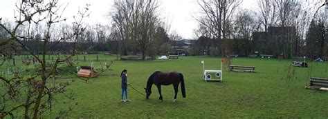 Reit Und Fahrverein Mertingen Ferienland Donauries