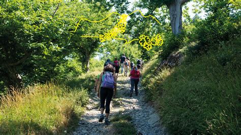 Camminata Nei Boschi E Pranzo In Rifugio Montagna Fiorentina