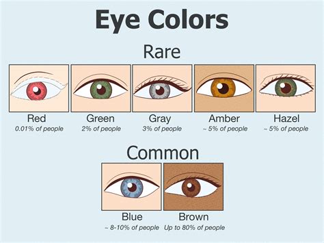 The Rarest Eye Colors, Ranked: How Unique Are Your Eyes?