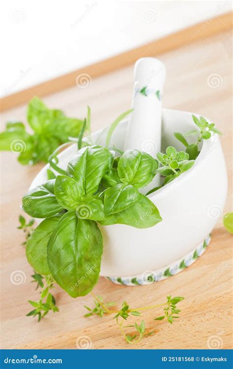 Aromatic Culinary Herbs Stock Photo Image Of Aromatic 25181568