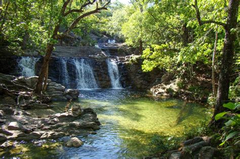 Ideflor Bio Aprova Plano De Manejo Do Parque Serra Das Andorinhas