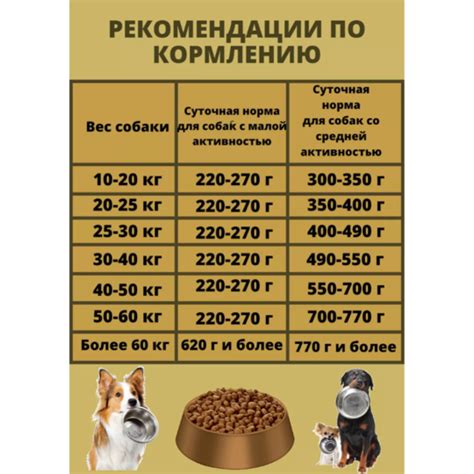 Корм для собак «Рэкс» крупных и средних пород, 2 кг купить в Минске ...