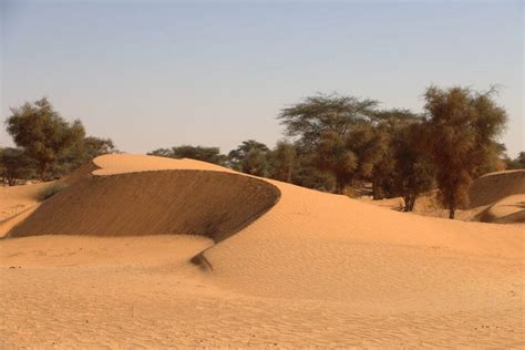 Déserts de l Adrar hors piste intégral MAURITANIE voyageavecnous