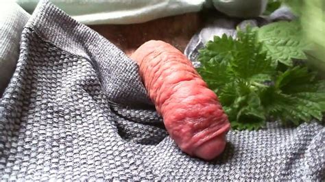 Lockdown Nettles On Cock Part Gay Amateur Porn XHamster