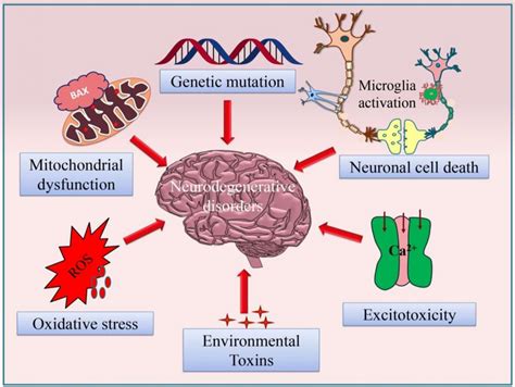 Schematic Diagram Showing The Various Causes Of Neurodegenerative