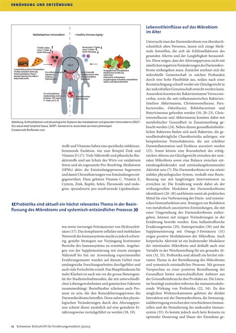 Alterung des Immunsystems Immunseneszenz Entzündungen und Ernährung