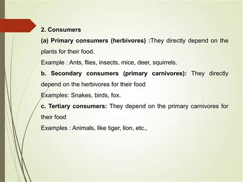 Lecture 5ppt Food Chain Food Web Ecological Pyramids PPT