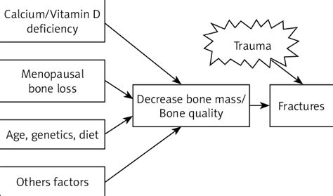 Osteoporosis Pathophysiology Flow Chart