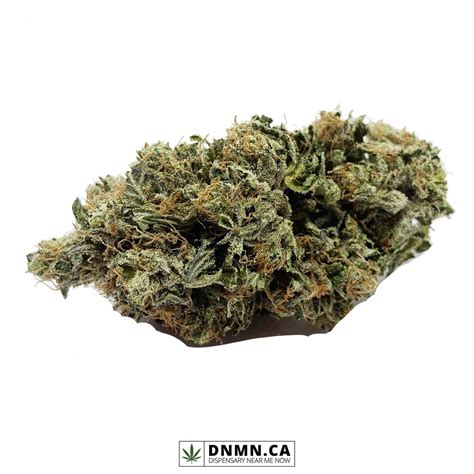 Gorilla Glue Buy Weed Online Dispensary Near Me